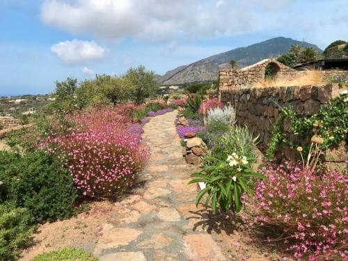 Entrata-Rosmarino-2-